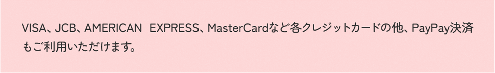 VISA、JCB、AMERICAN EXPRESS、MasterCardなど各クレジットカードの他、PayPay決済もご利用いただけます。