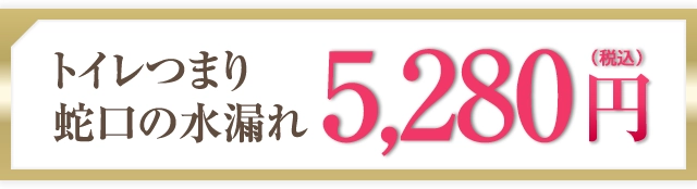 トイレつまり蛇口の水漏れ 4,800円