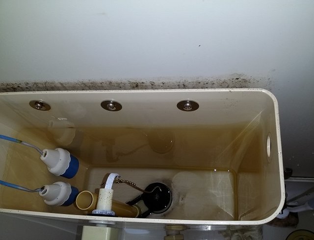 水のトラブル（トイレの水漏れ修理）の画像